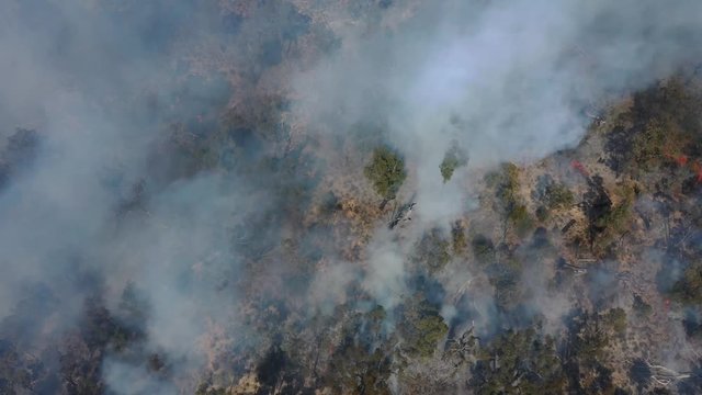 Bushfire in Australia. Drought and Climate Change increase likelihood of these forest fires.