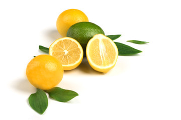 Ripe lemon and lime with green leaves in white background