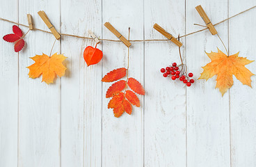 autumn minimalism composition. garland with autumn leaves hanging on clothespin on white wooden background. fall season, thanksgiving and halloween concept. copy space. soft focus