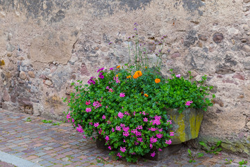 Fototapeta na wymiar Wall decorated with flowers