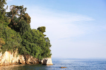 Beautiful view of cliff with green trees near sea