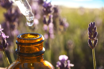 Dropper with lavender essential oil over bottle in field, closeup. Space for text