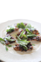 tandoori chicken , grilled chicken with yogurt traditional indian food