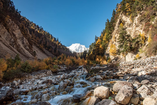 Ngadi Chuli Himal, Manaslu, on the way to Shyala. 