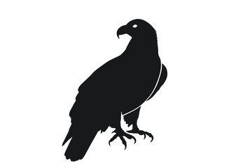 sitting eagle. isolated vector image of bird of prey in simple style