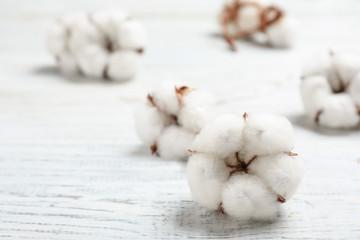 Fluffy cotton flowers on white wooden background, closeup