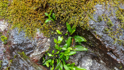 Machu Picchu in Peru is one of the miracles of the World