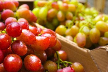 Fototapeta na wymiar Fresh ripe juicy grapes as background, closeup view