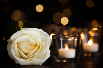 White rose and burning candles on table in darkness. Funeral symbol