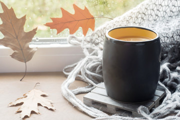 Cup hot tea with lemon on the windowsill Woolen plaid. Autumn still life. It's raining outside. Copy space
