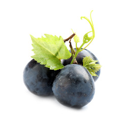 Fresh ripe juicy black grapes isolated on white