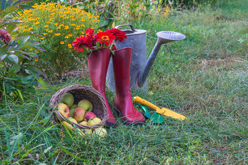 Beautiful summer gardening composition. Vintage watering can, bouquet of red zinnia flowers in the...