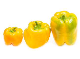 yellow and red bell peppers on a white background