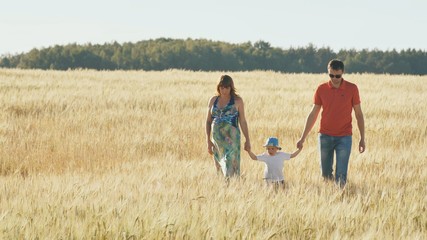 Young parents go with their son on a wheat field in the evening.