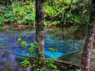 北海道清里町神の子池