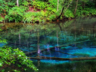 北海道清里町神の子池