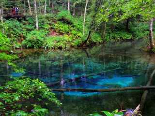 北海道清里町神の子池