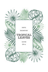 Tropical plants banner design. Hand drawn tropical summer exotic leaves illustration. Jungle leaves, palm leaves engraved style. Vintage background design