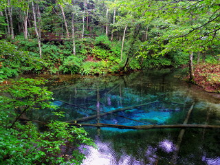 北海道清里町神の子池ー夏