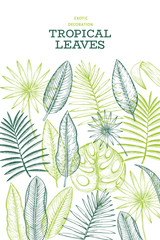 Tropical plants banner design. Hand drawn tropical summer exotic leaves illustration. Jungle leaves, palm leaves engraved style. Vintage background design