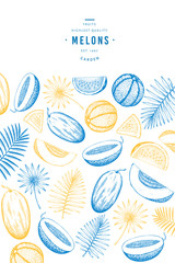 Melons and watermelons with tropical leaves design template. Hand drawn vector exotic fruit illustration. Engraved style fruit banner. Retro botanical frame.