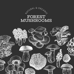 Mushroom design template. Hand drawn vector food illustration on chalk board. Engraved style. Vintage mushrooms different kinds background.
