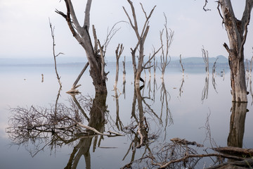 Il lago Barengo in Kenya
