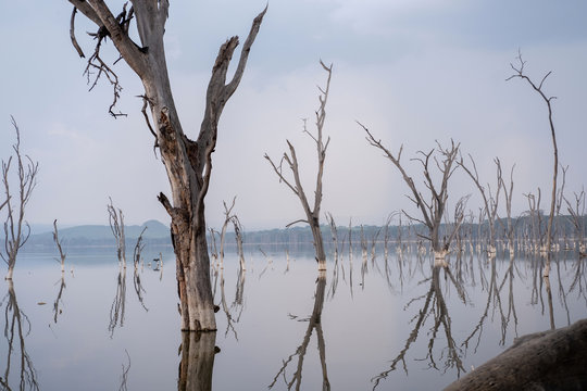 Il lago Barengo in Kenya