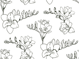 Seamless floral decorative pattern with black and white Freesia flowers on white background. Endless spring texture for your design, fabrics, decor, print, coloring book