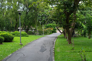 Trail and trees in the park.