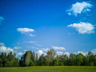 Green summer meadow with green trees and blue sky with white clouds