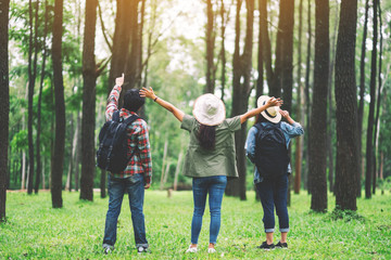 Fototapeta premium A group of traveler with backpack standing back and looking into a beautiful pine woods