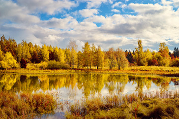 Fototapeta na wymiar Colors of fall. Beautiful autumn landscape with forest and lake.