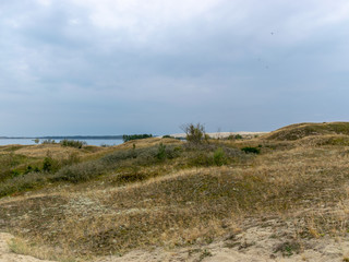 Fototapeta na wymiar white dune sand, scanty plants, sand textures, beautiful blue skieslandscape with sand dune shore, Curonian Spit, Nida ,Lithuania. Baltic dunes, UNESCO heritage