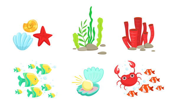 Underwater World Elements Set, Tropical Fishes, Algae, Corals, Crabs, Sea Shell Vector Illustration