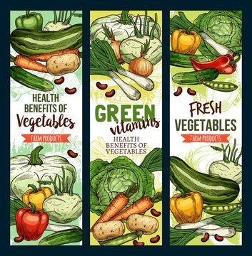Healthy green food vitamins, farm vegetables