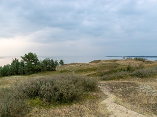 landscape with wooden footpaths, dune sand, curonian dunes, lithuania