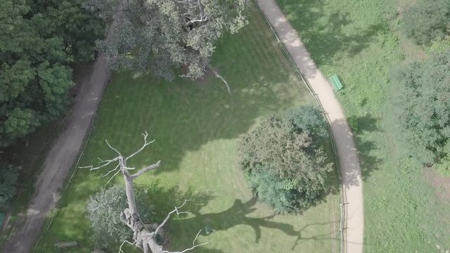 Lech and Rus Oaks Rogalin Aerial