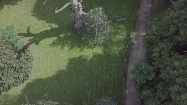 Lech Czech Rus Oaks Aerial