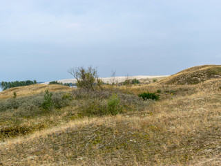 landscape with sand dune shore, Curonian Spit, Nida ,Lithuania.  Baltic dunes, UNESCO heritage