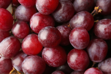Many ripe sweet grapes, closeup