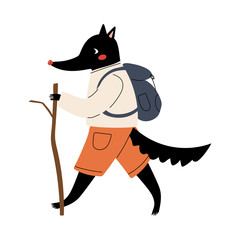 Wolf Walking with Backpack and Wooden Stick, Funny Humanized Animal Cartoon Character Travelling on Vacation Vector Illustration