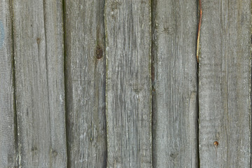 Old wooden boards with beautiful texture and knots as background