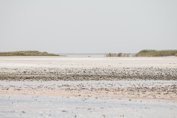 Landscape view on the pink salt Lemurisk lake