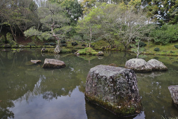 Fototapeta na wymiar a landscape of pond with trees and rocks