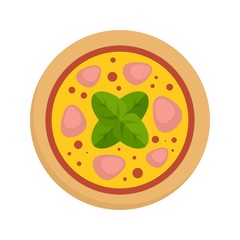 Salami meat pizza icon. Flat illustration of salami meat pizza vector icon for web design