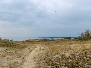 landscape with wooden footpaths, dune sand, curonian dunes, lithuania