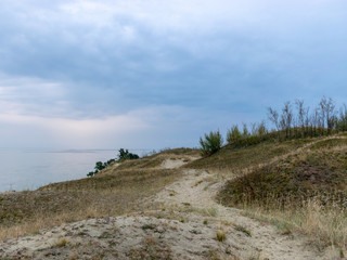 Fototapeta na wymiar landscape with wooden footpaths, dune sand, curonian dunes, lithuania