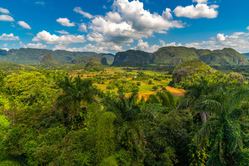 Fototapeta na wymiar Vinales Valley site in Pinar del Rio of Cuba