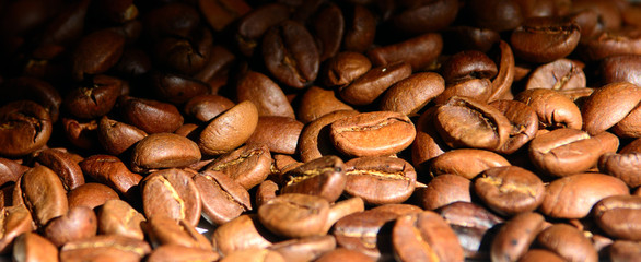 coffee grains lit by the sun. Panoramic shot. Concept - morning coffee. Enjoying good coffee